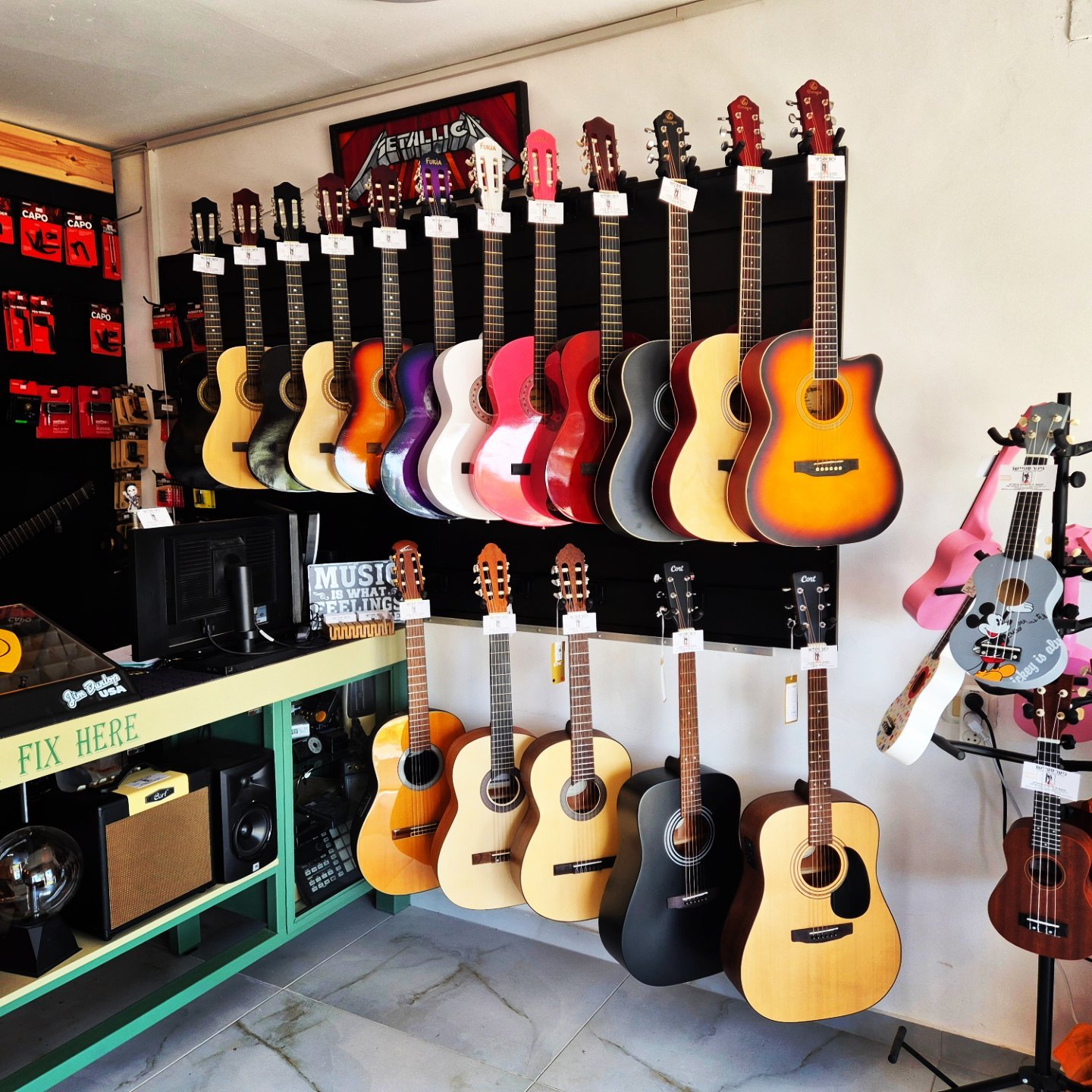 גיטרות קלאסיות / אקוסטיות