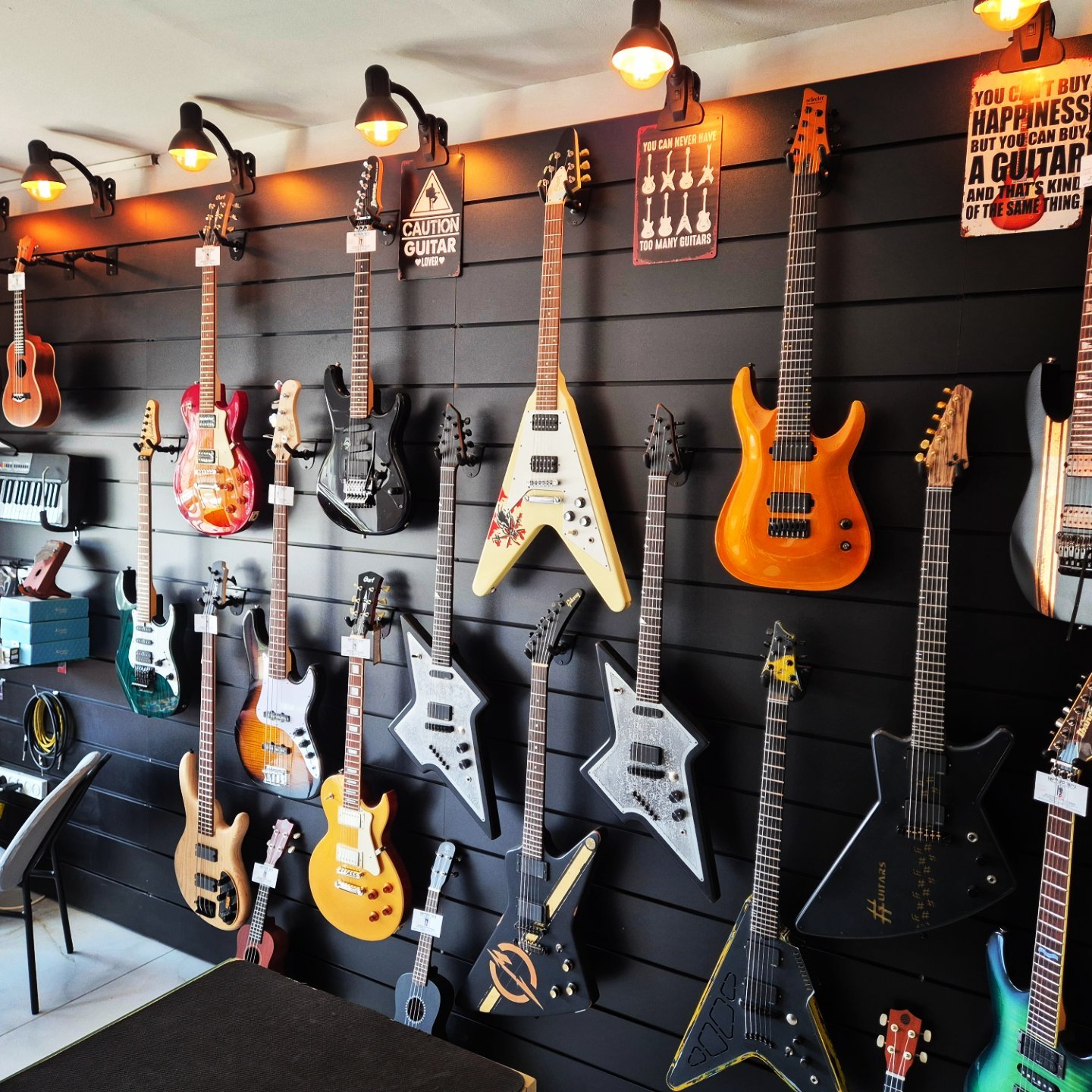 גיטרות ובסים