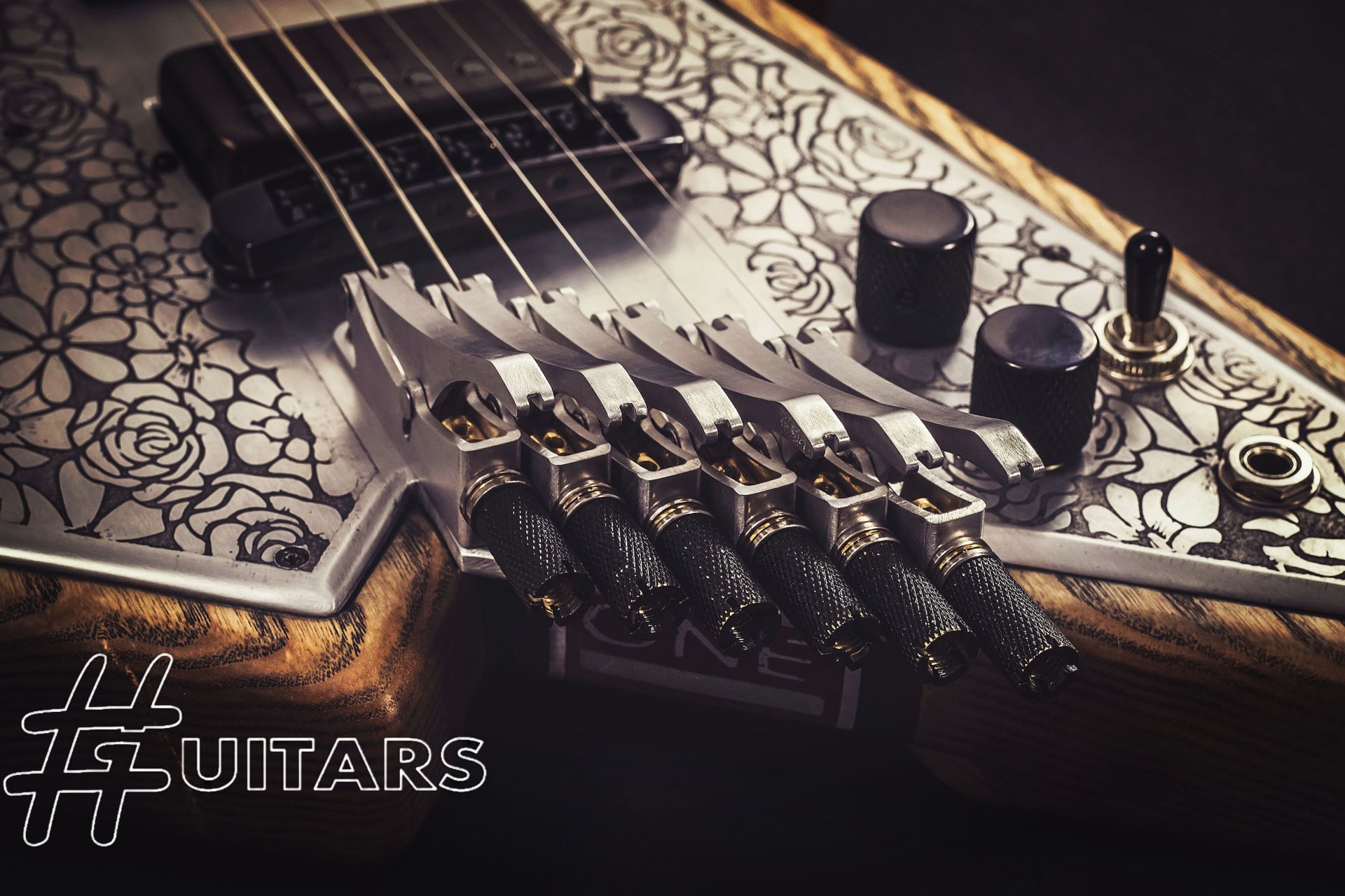 אומנות וגיטרות